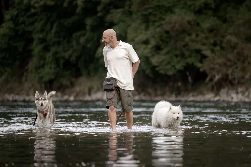 Hundegruppe beim betreuten Spaziergang von Marios Gassiservice durch die Isar